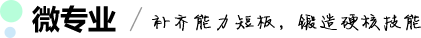 微专业